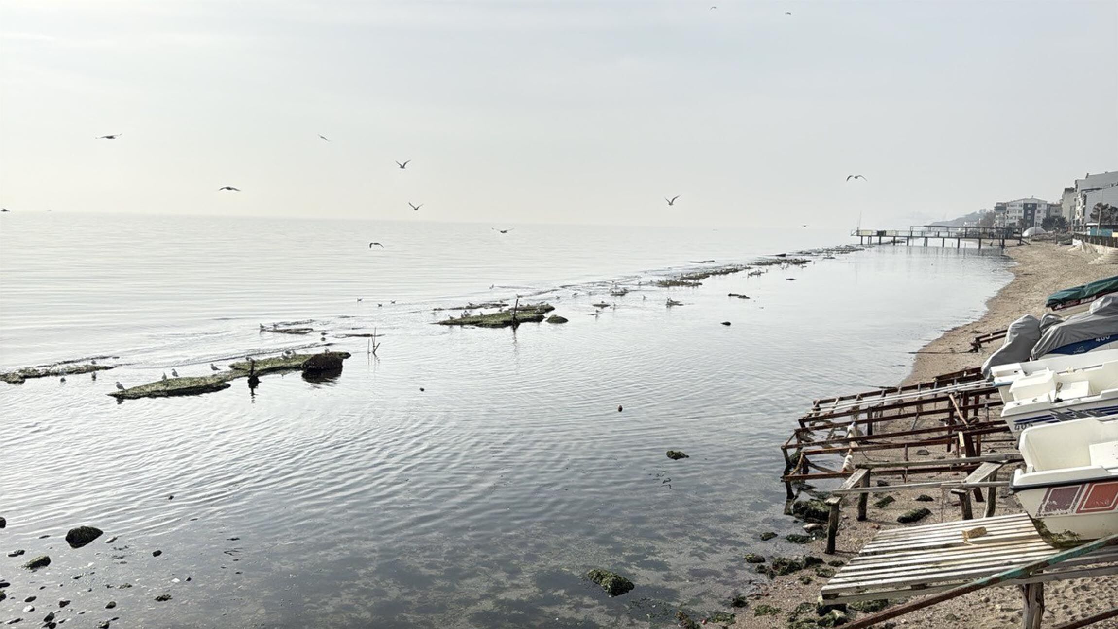 T E K I R D A G D A D E N I Z 7 M E T R E C E K I L D I K R A L 1196959 355933